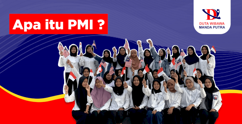 APA ITU PMI?